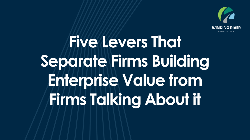 Blog - Five Levers That Separate Firms