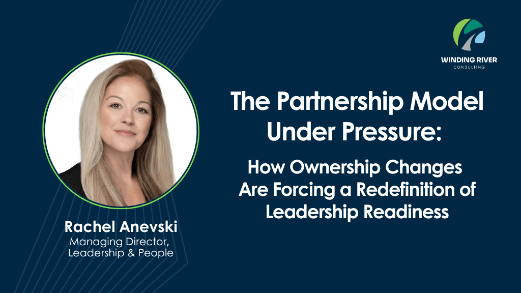 Blog - The Partnership Model Under Pressure (2)