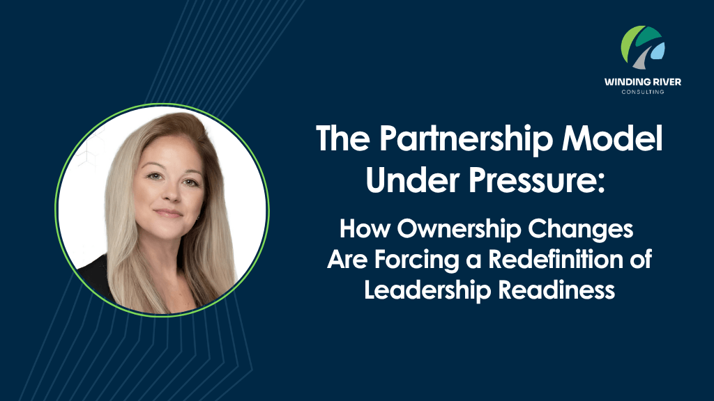 Blog - The Partnership Model Under Pressure
