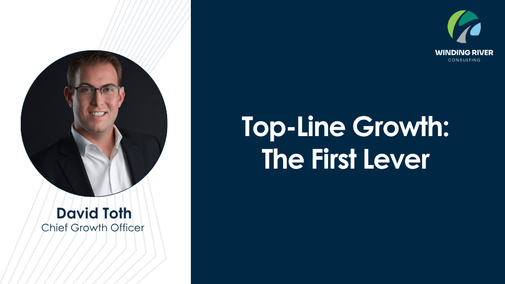 Blog - Top Line Growth (2)