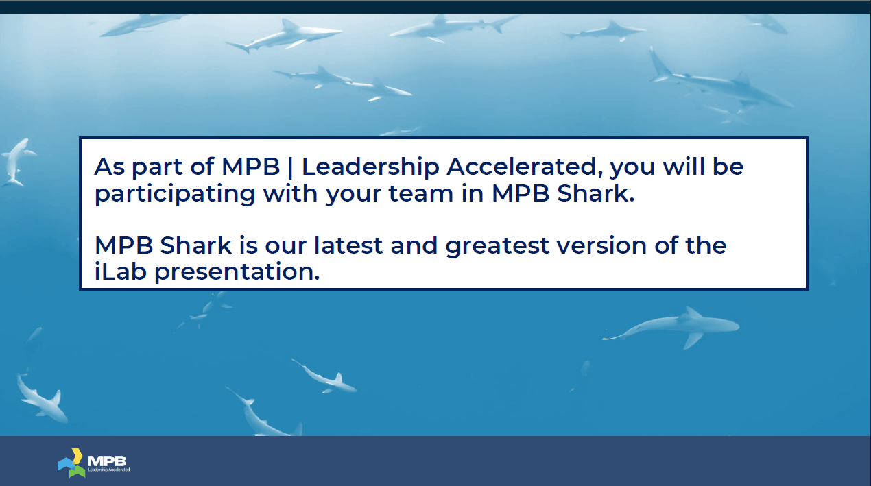 Shark Tank Teams - Cohort 19